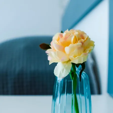 L'eden Di Nicolas Bed & Breakfast San Costantino Calabro