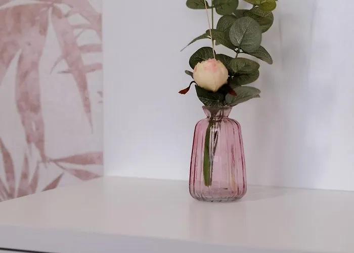 L'eden Di Nicolas * San Costantino Calabro