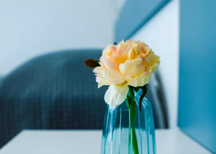 L'eden Di Nicolas Alojamento de Acomodação e Pequeno-almoço San Costantino Calabro